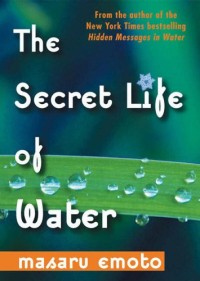 The Secret life of water