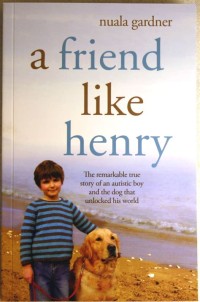 a friend like henry